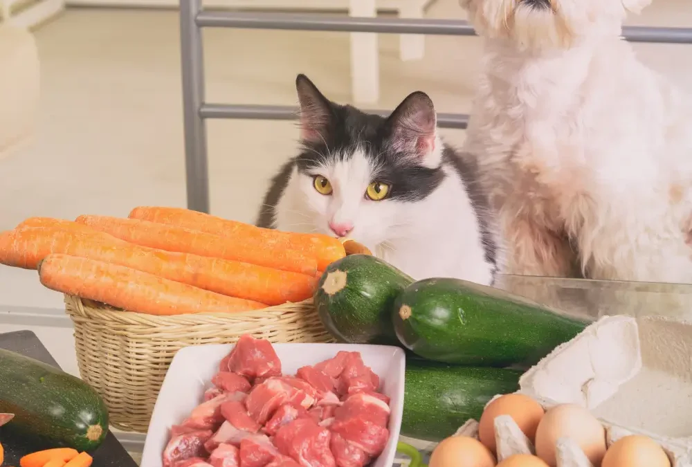 Raw Feeding Your Pet: Benefits, Risks, and Considerations