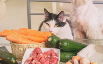Raw Feeding Your Pet: Benefits, Risks, and Considerations