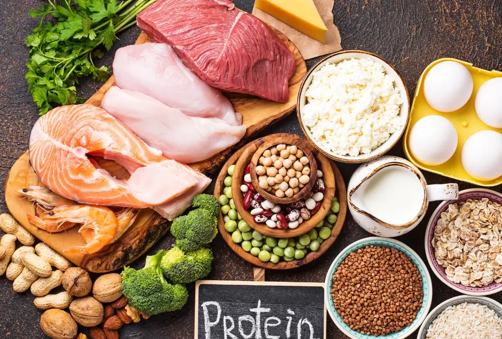 The Power of Protein: Why High-Quality Protein is the Cornerstone of Your Pet’s Health