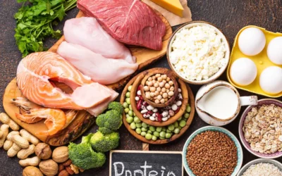 The Power of Protein: Why High-Quality Protein is the Cornerstone of Your Pet’s Health