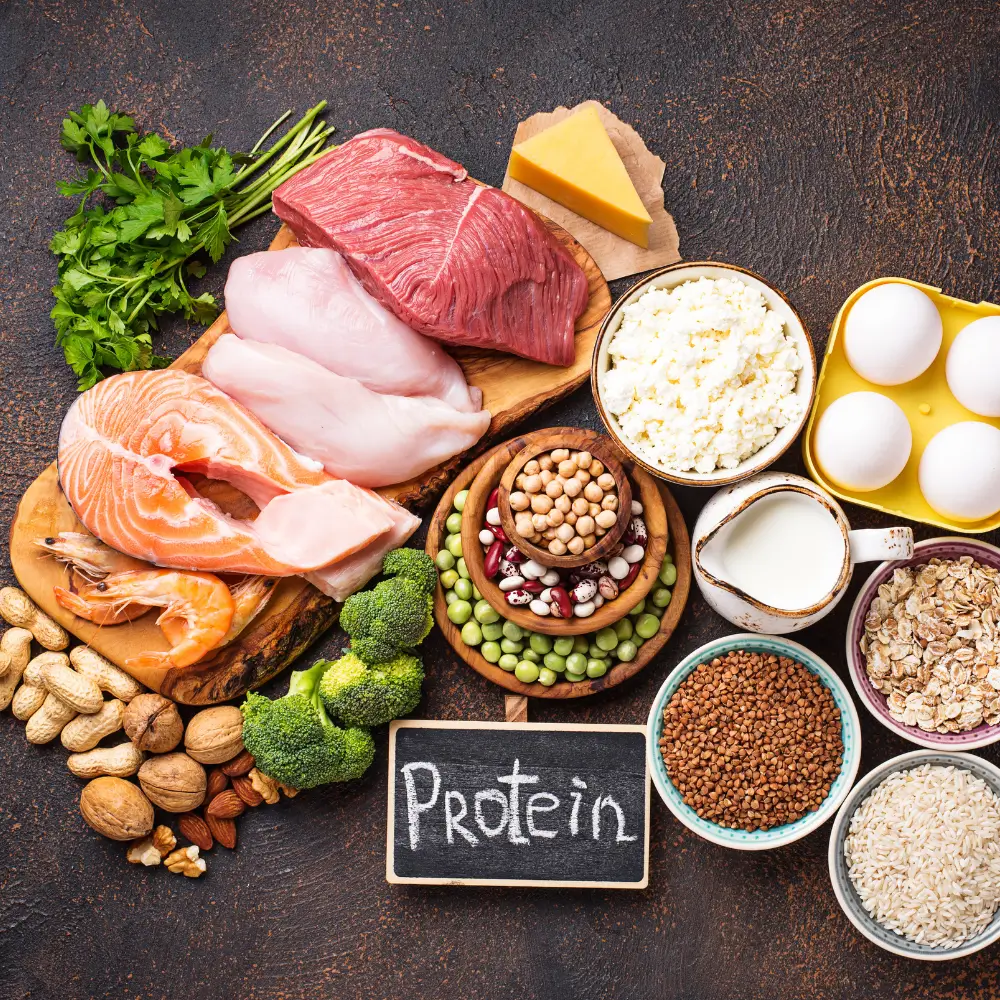 A variety of different sources of protein