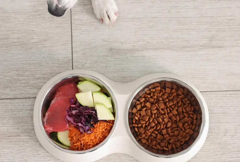 Homemade vs. Store-Bought Pet Food: Pros and Cons