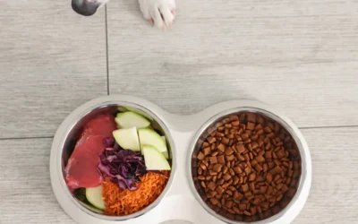 Homemade vs. Store-Bought Pet Food: Pros and Cons