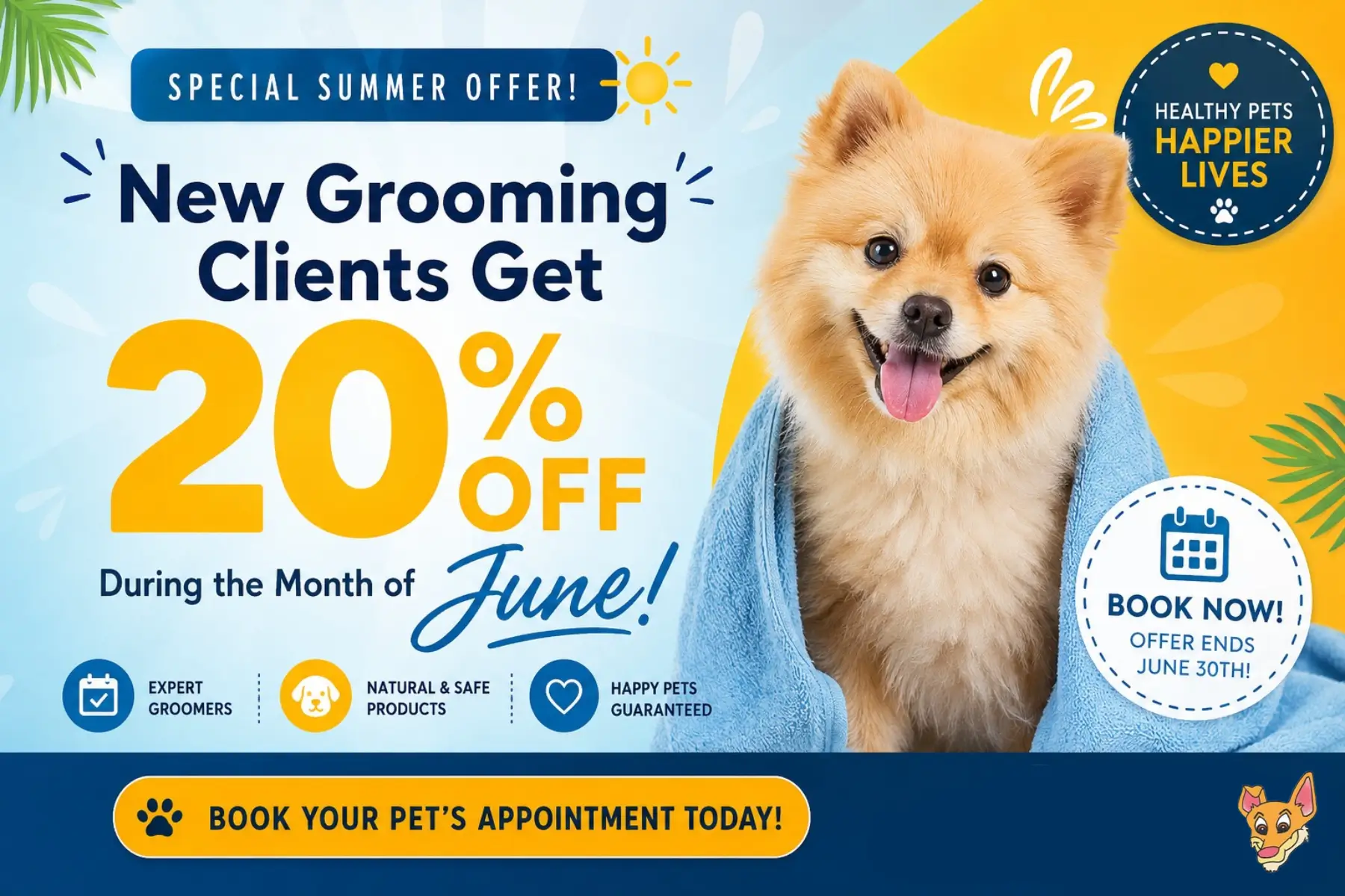 Dingo's June Summer Promotional