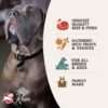 Fromm-4-Star-Grain-Free-Beef-Frittata-Dog-12lb.jpg
