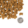 Fromm-4-Star-Grain-Free-Lamb-and-Lentil-Dog-4lb.jpg