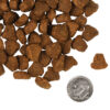 Fromm-4-Star-Grain-Free-Rancherosa-Dog-4lb.jpg